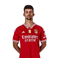 Tomás Araújo